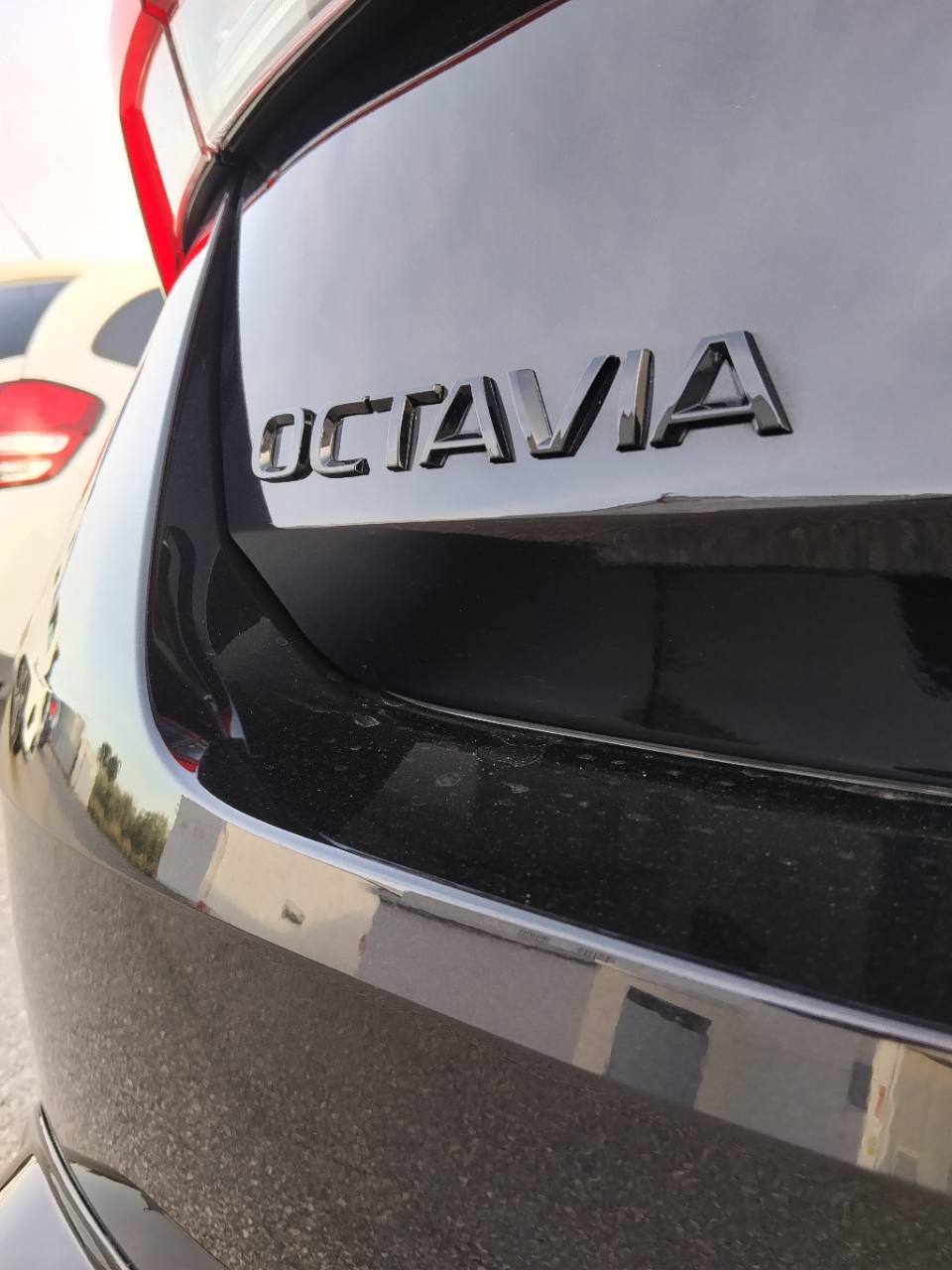 Inscripción Octavia en el portón trasero